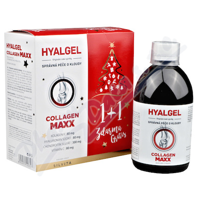 Hyalgel Collagen MAXX vánoční balení 2022 2x500ml