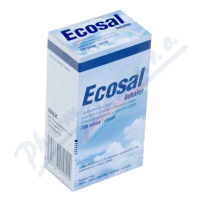 Ecosal Inhaler aer.dos.200x100RG