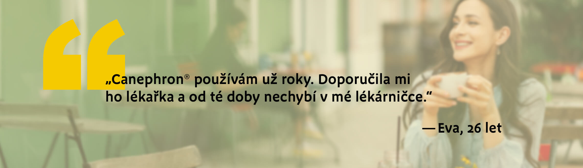 Popis obrázku