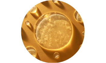 Fosfolipidy – podporují vstřebávání silymarinu a zdravou strukturu jaterních buněk