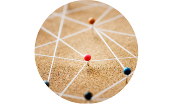 Synergie účinků ESENTIN TRIO – komplexní podpora jaterní vitality