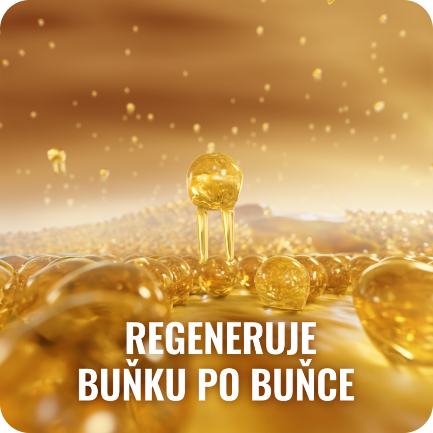 Fosfolipidy v Essentiale – obnova jaterních buněk a zlepšení jejich funkce