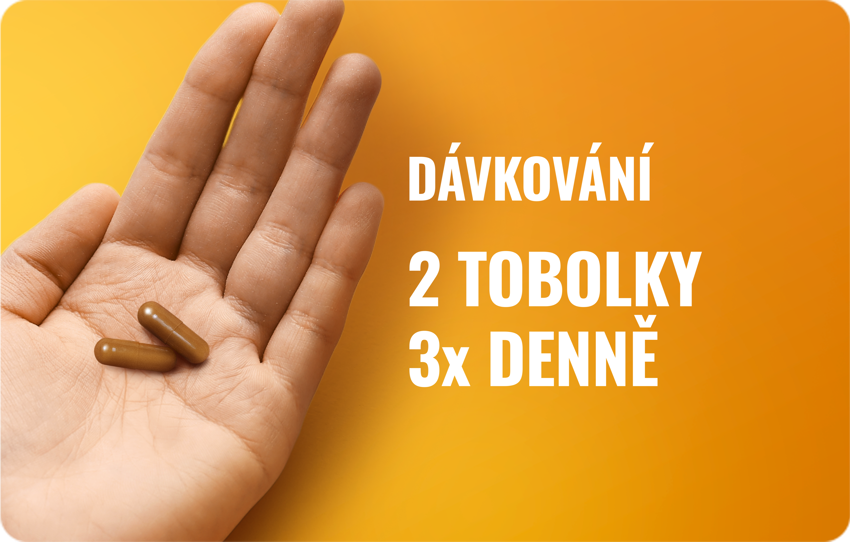 Essentiale forte – ilustrace ztukovatění jater a jejich regenerace