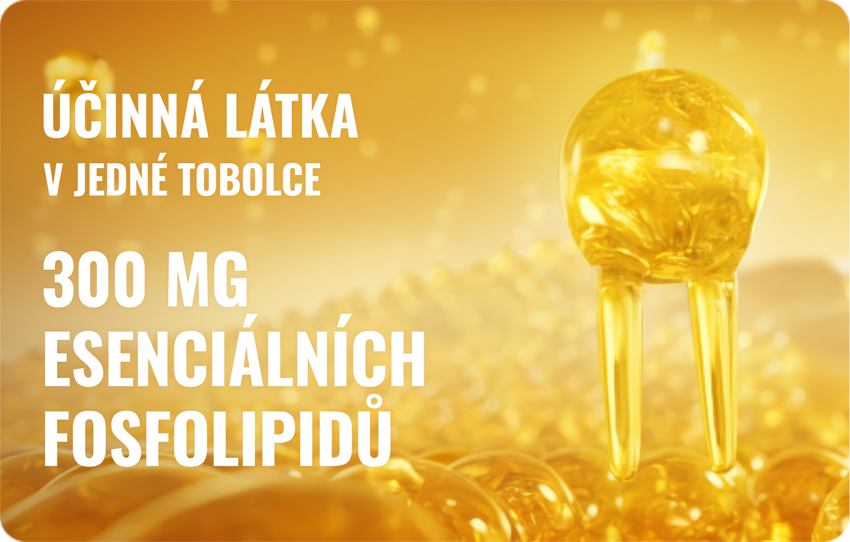 Essentiale forte – schéma působení fosfolipidů na jaterní buňky