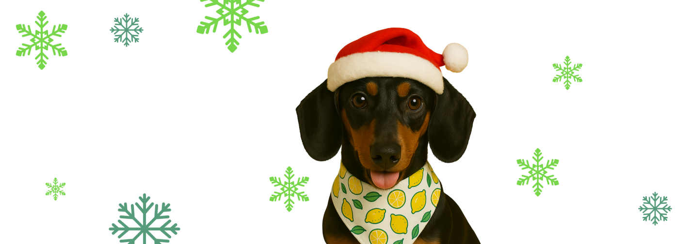 Chytře na dárky s Lemonkem