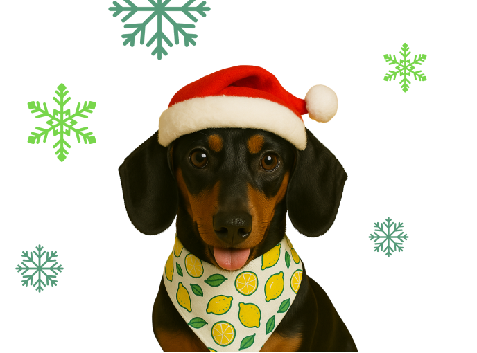 Chytře na dárky s Lemonkem