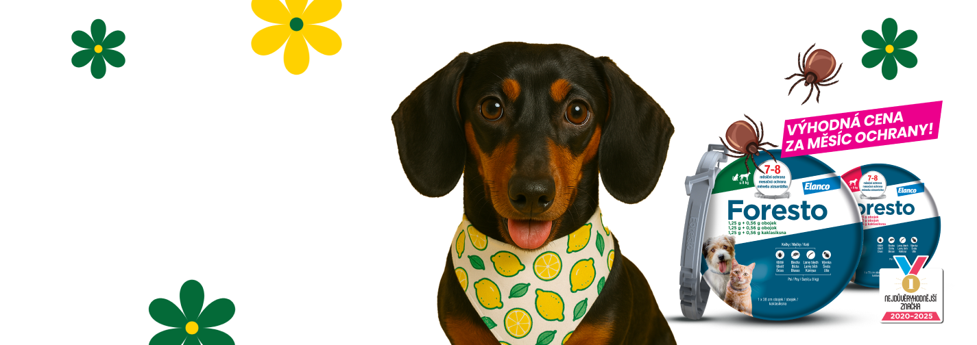 Klíšťata útočí!