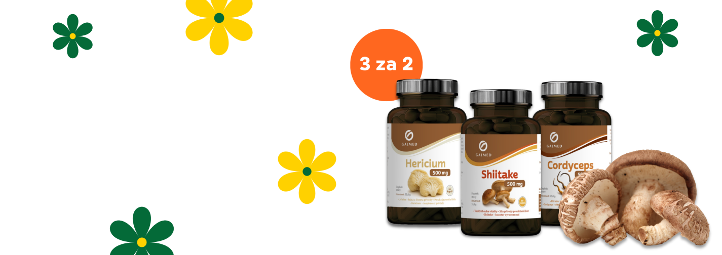 Vitální houby od Galmed