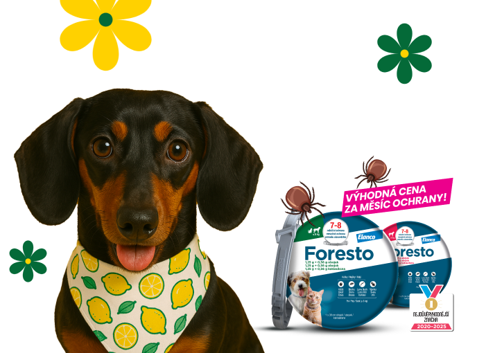 Klíšťata útočí!