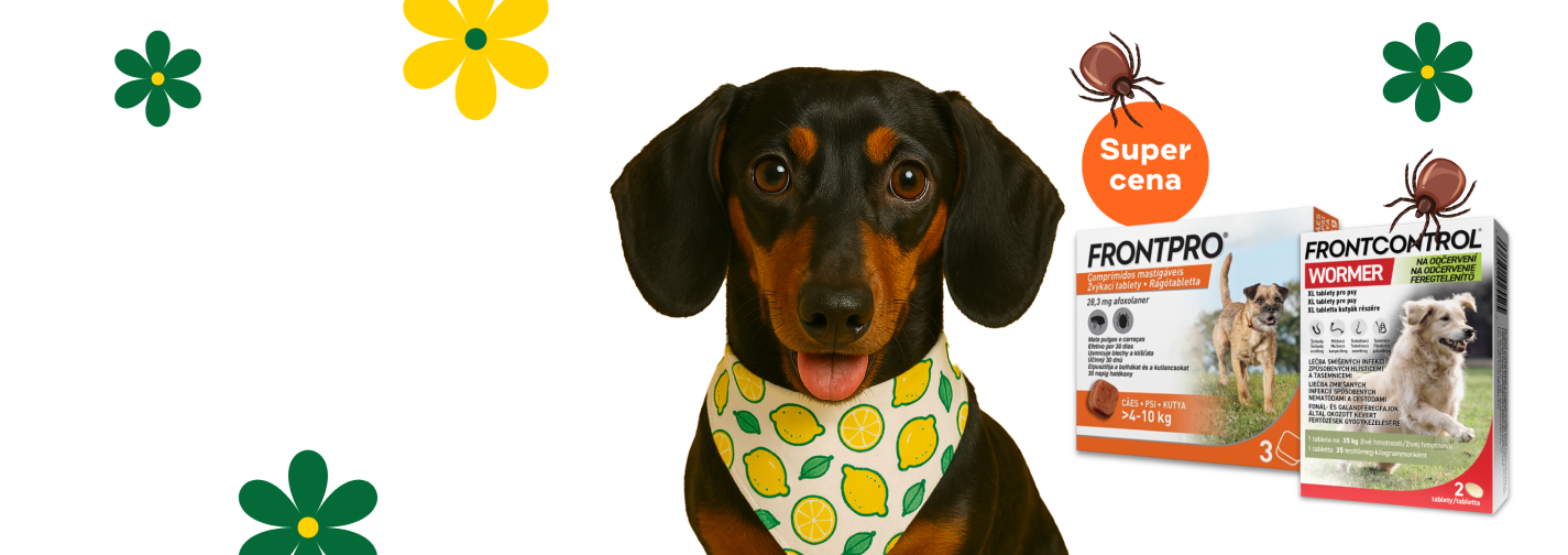 Super cena na Frontpro