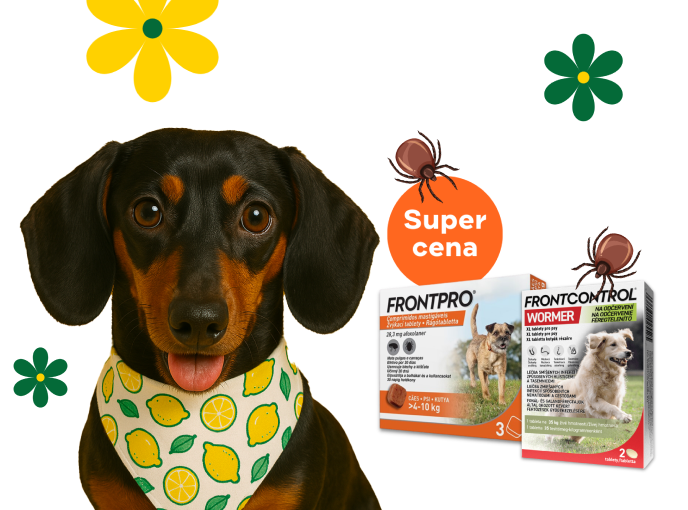 Super cena na Frontpro