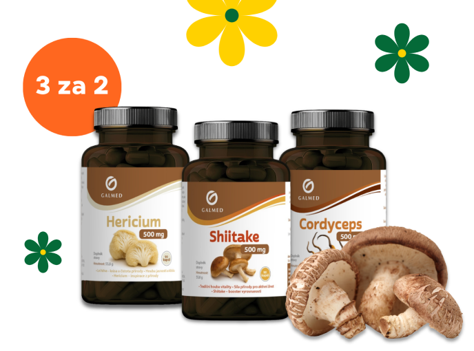 Vitální houby od Galmed