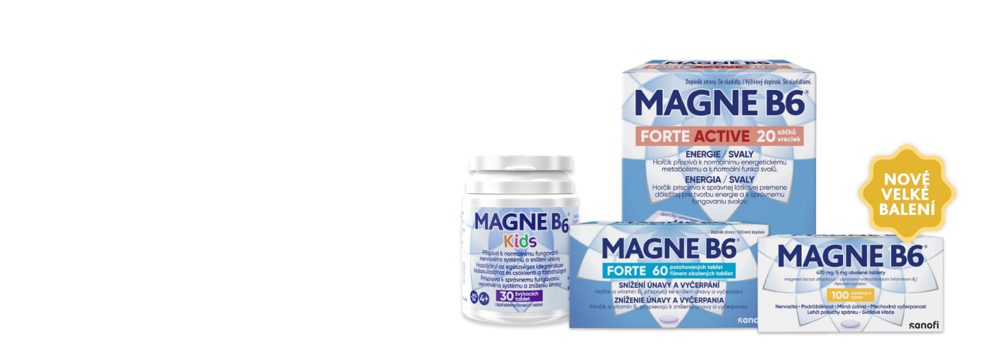 Objevte rodinu Magne B6