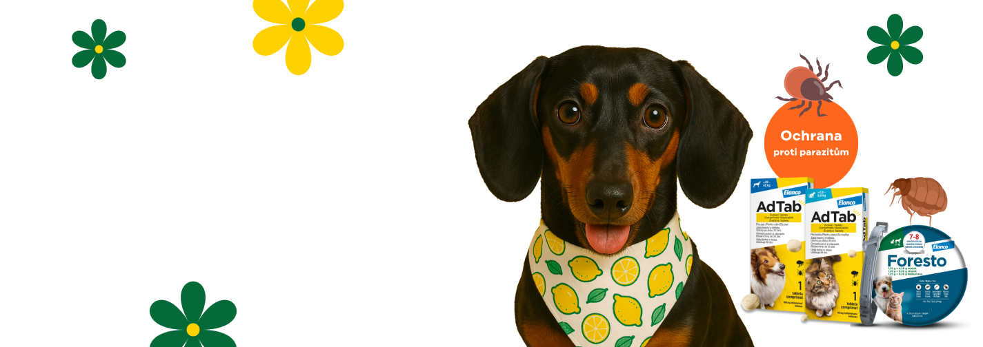 Spolehlivá ochrana pro psa a kočku