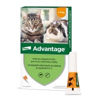 Advantage 40mg malé kočky a králíci spot-on 1x0.4ml