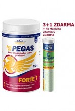 Vitar Veterinae Artivit Pegas forte 7 prášek 700g