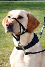 Ohlávka proti táhnutí Top Trainer L 31cm Trixie