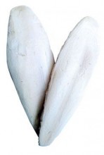 Kost sépiová 10cm ( /-3cm) 20ks