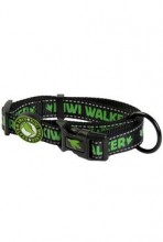 Obojek nylon 42-55cm/2,5cm zelená Kiwi