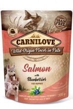 Carnilove Dog Pouch paté salmon & blueber puppies 300g