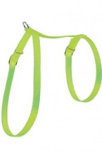 Postroj Kočka nylon 10mm zelený Zolux