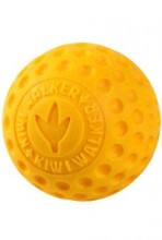 Hračka pes Ball Maxi plovoucí z TPR oranžová Kiwi