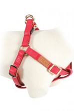 Postroj pes Mayfair nastavitelný červený 25mm Zolux
