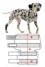 Bandáž rehab na hlezno pro psa Kruuse M