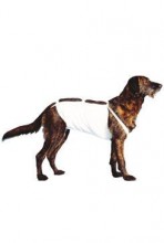 Bandáž břišní č.4 pro psy 49cm německý ovčák 1ks Cvet