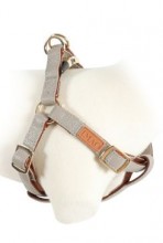 Postroj pes Mayfair nastavitelný béžový 25mm Zolux