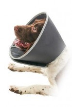 Límec ochranný Buster pěnový Foam Collar 30cm 1ks