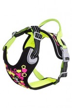 Postroj Hurtta Weekend Warrior neon II lékořicový 75-100