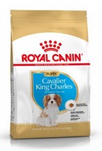 Royal Canin breed kavalír king charles junior  1,5kg