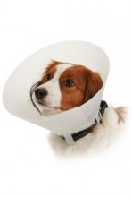 Límec ochranný  Buster neprůhledný Classic Collar 15cm
