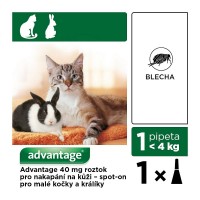 Advantage 40mg malé kočky a králíci spot-on 1x0.4ml