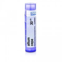 Allium Cepa 30CH granule 1x4g