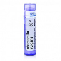 Chamomilla vulgaris 30CH granule 1x4g