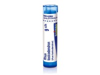 Rhus toxicodendron 9CH granule 4g