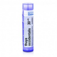 Thuya occidentalis 30CH granule 4g
