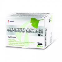 Ginkgo Biloba 40mg Cps.60