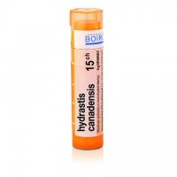 Hydrastis canadensis 15CH granule 1x4g