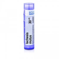 Lachesis mutus 30CH granule 4g