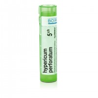 Hypericum perforatum 5CH granule 1x4g