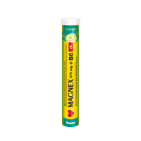 Magnex 375 mg + B6 eff. 20 šumivých tablet