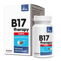 B17 Therapy 500mg 60 tobolek