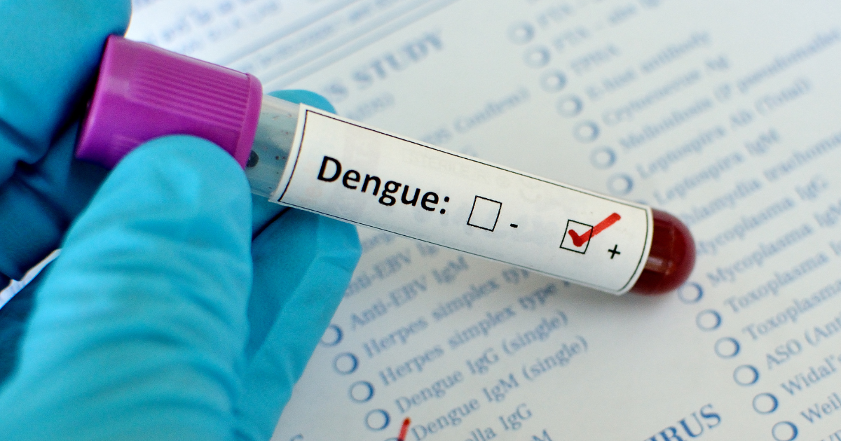 Horečka dengue