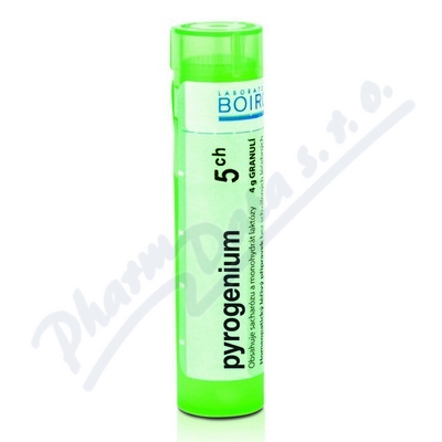 Pyrogenium Ch5 Gra.4g