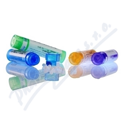 Gelsemium Sempervirens 200CH granule 4g