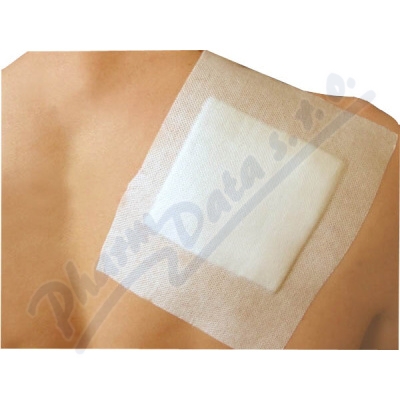 Elastpore Náplast Fixační 10cmx10m 1ks