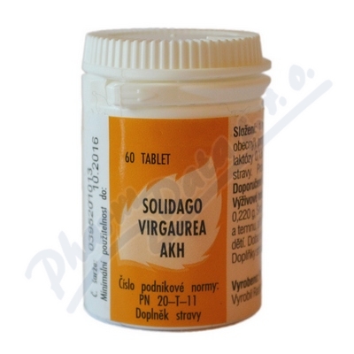 Solidago Virgaurea Akh Tbl.60